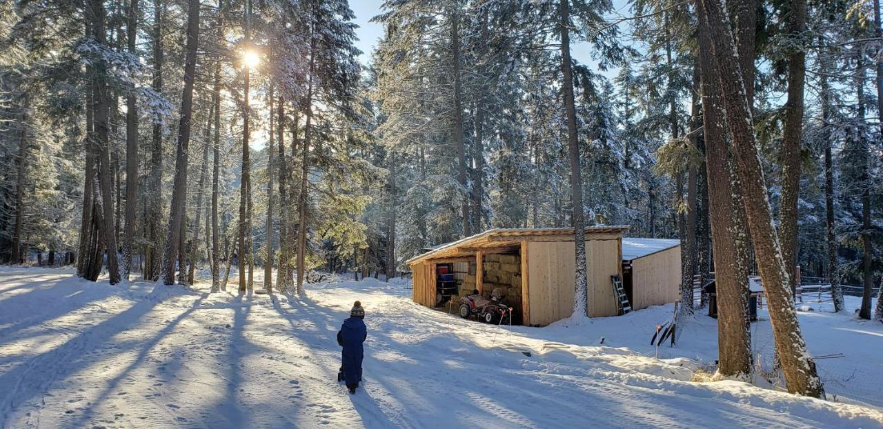Kicking Horse Canyon Guest House Голден Екстер'єр фото